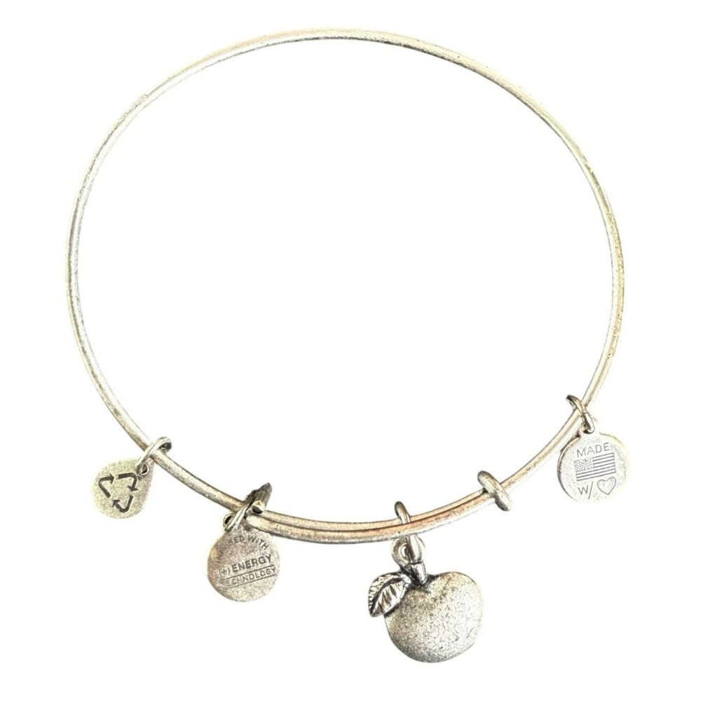 Alex and Ani Apple Charm Bracelet Silver Nature Expandable Bangle - Picture 14 of 14